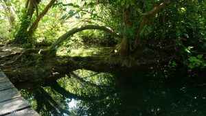 Rincones escondidos en el Parque Nacional de Krka