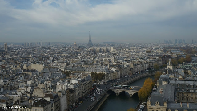 Las mejores vistas de París - La Torre Eiffel desde Notre Dame