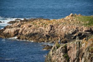 Hacer surf en Galicia - punta chan de Razo