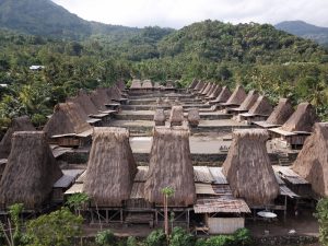 Ruta por la isla de Flores: villas tradicionales