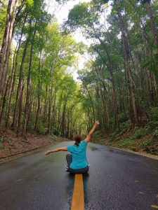 Bohol en 3 días: Man Made Forest