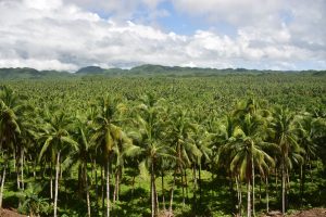 20 cosas que hacer en Filipinas