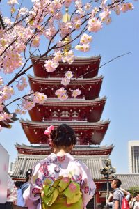 Qué hacer en Japón: estaciones del año en Japón