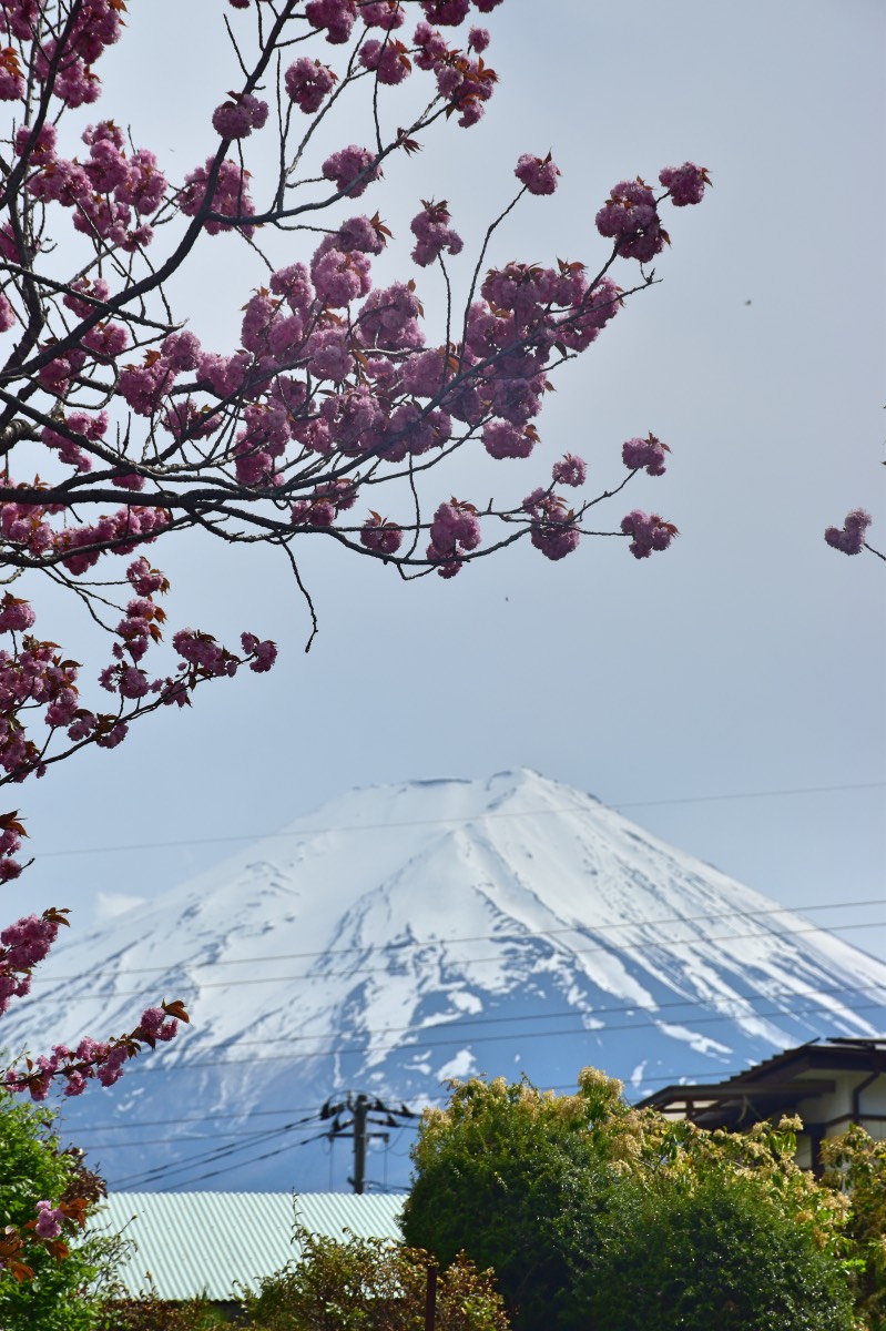 Qué hacer en Japón: ver el Fuji