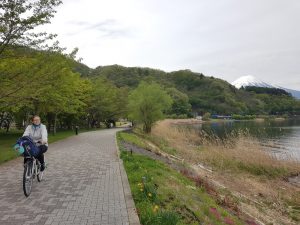Qué hacer en Kawaguchiko en un día: alquilar una bicicleta