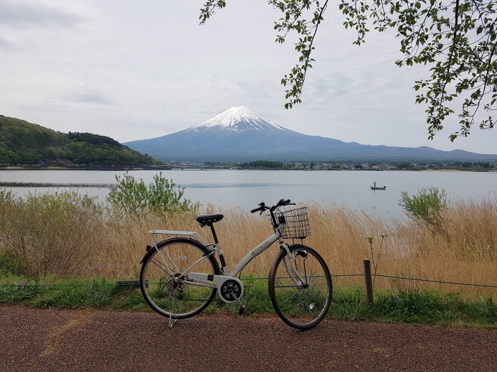 Qué hacer en Kawaguchiko en un día: alquilar una bicicleta