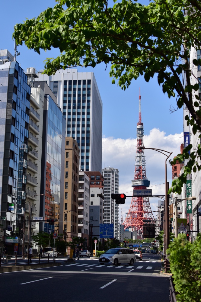 Qué hacer en Tokio: visitar la Tokyo Tower