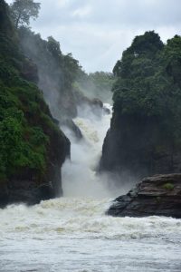 Cataratas Murchison en Uganda