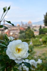 Jardín de las rosas en Florencia