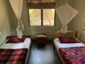 Dónde dormir en Uganda: habitación doble, dos camas, dos mosquiteras y una ventana.