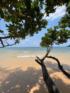 Lazy beach en Koh Rong Sanloem