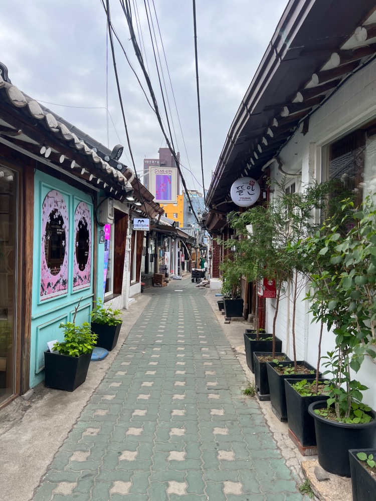 Paseando por las calles de Seul