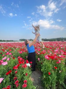 que ver en Gyeongju