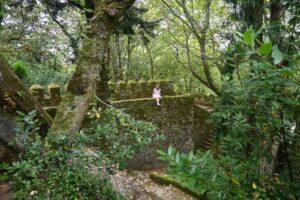 Los bosques del Parque Nacional de Sintra-Cascais