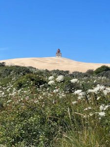 Alquilar coche en Billund