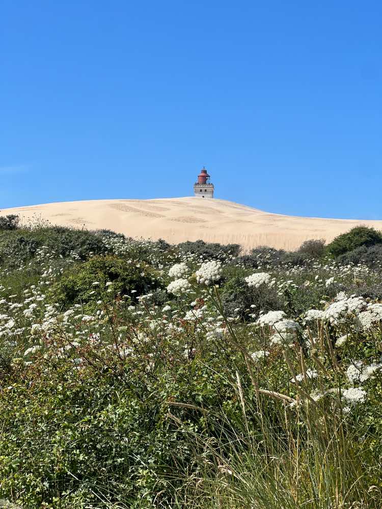 Alquilar coche en Billund