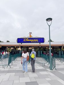 Entrada a Disneyland Paris - Cómo llegar a Disneyland Paris