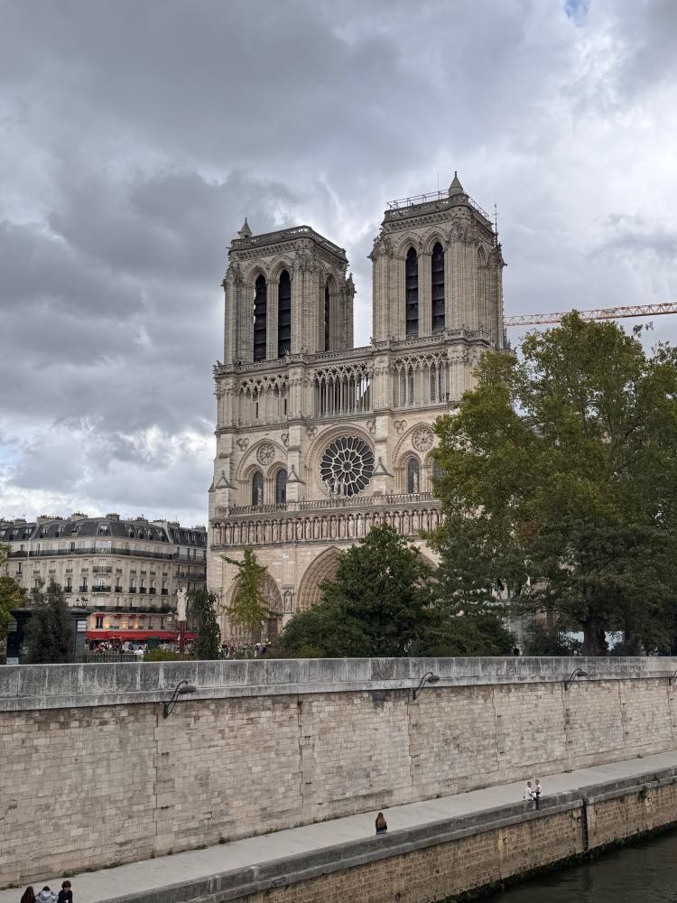 Notre Dame en Paris, qué ver y qué hacer en París